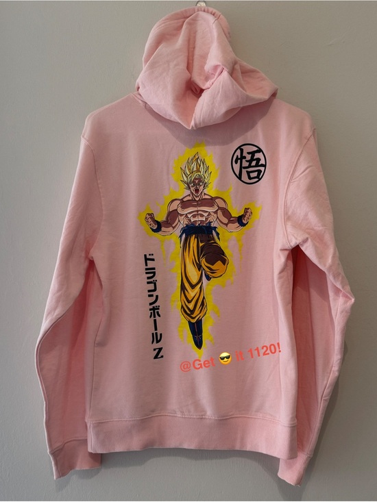 Dragon Ball Z Other - Dragon Ball Z Adult Hoodie-Small Sweater Light Pink